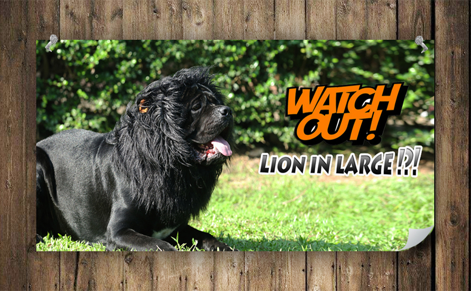 lion mane for dog pet costumes