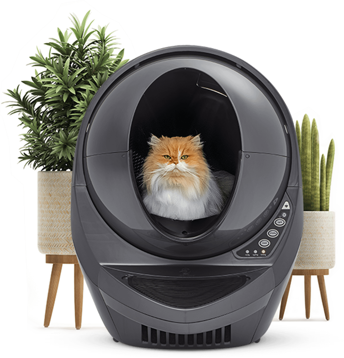 The smartest litter box