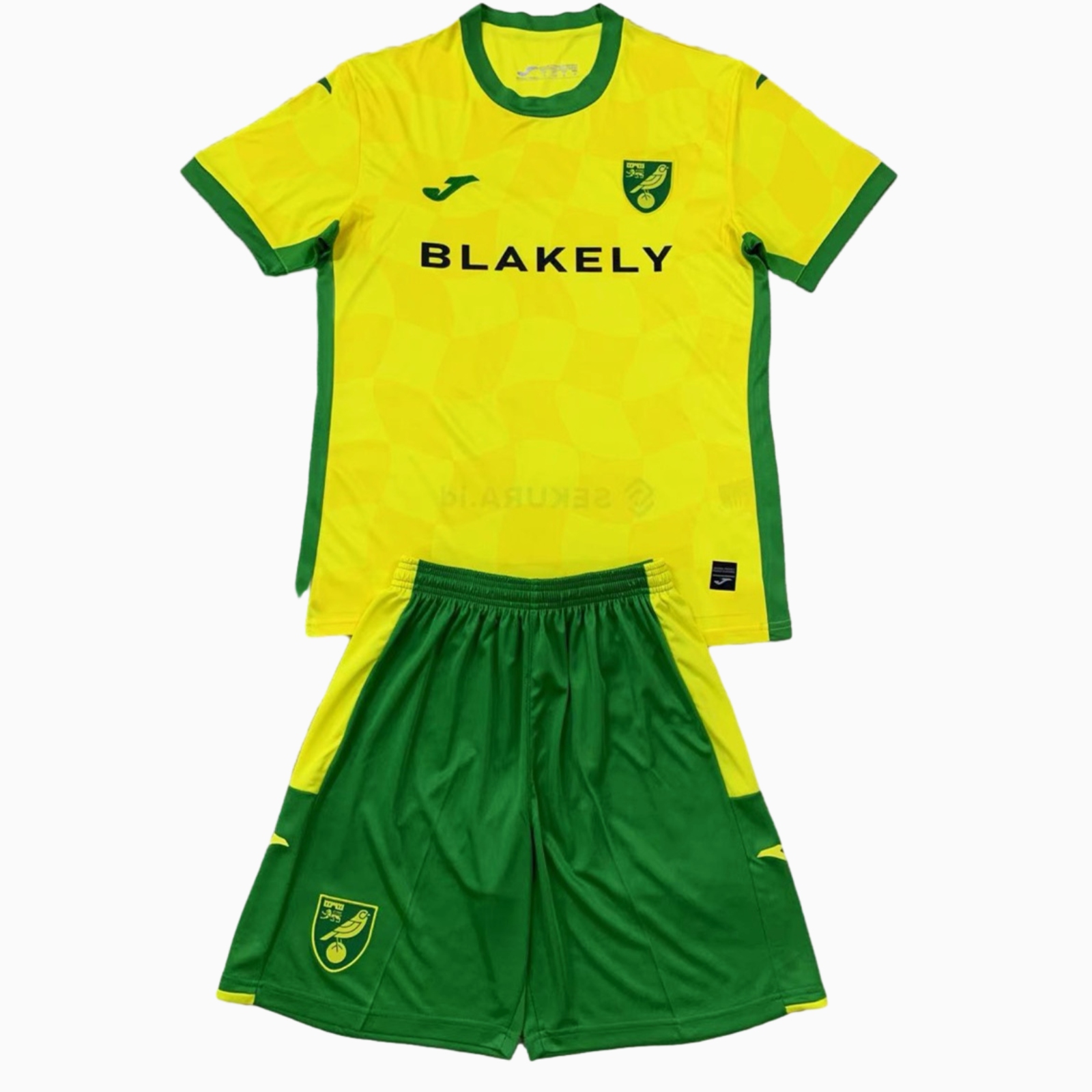 Higojerseys-Norwich City 24-25 Home Men's Adult Jersey Set - Fans Version