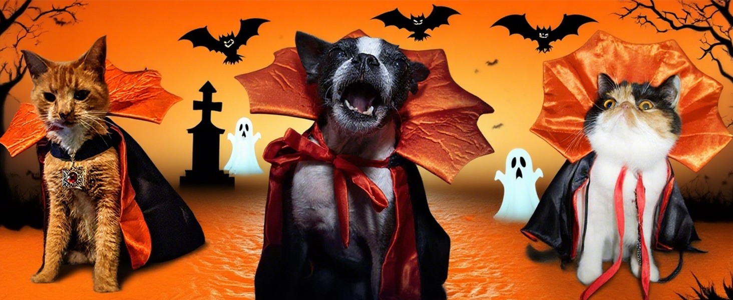 dog Halloween costume 