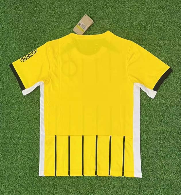 2024/2025 Brighton Away Football Shirt 1:1 Thai Quality:football jersey mysite: unitedjerseyfootball 邓江浪:football