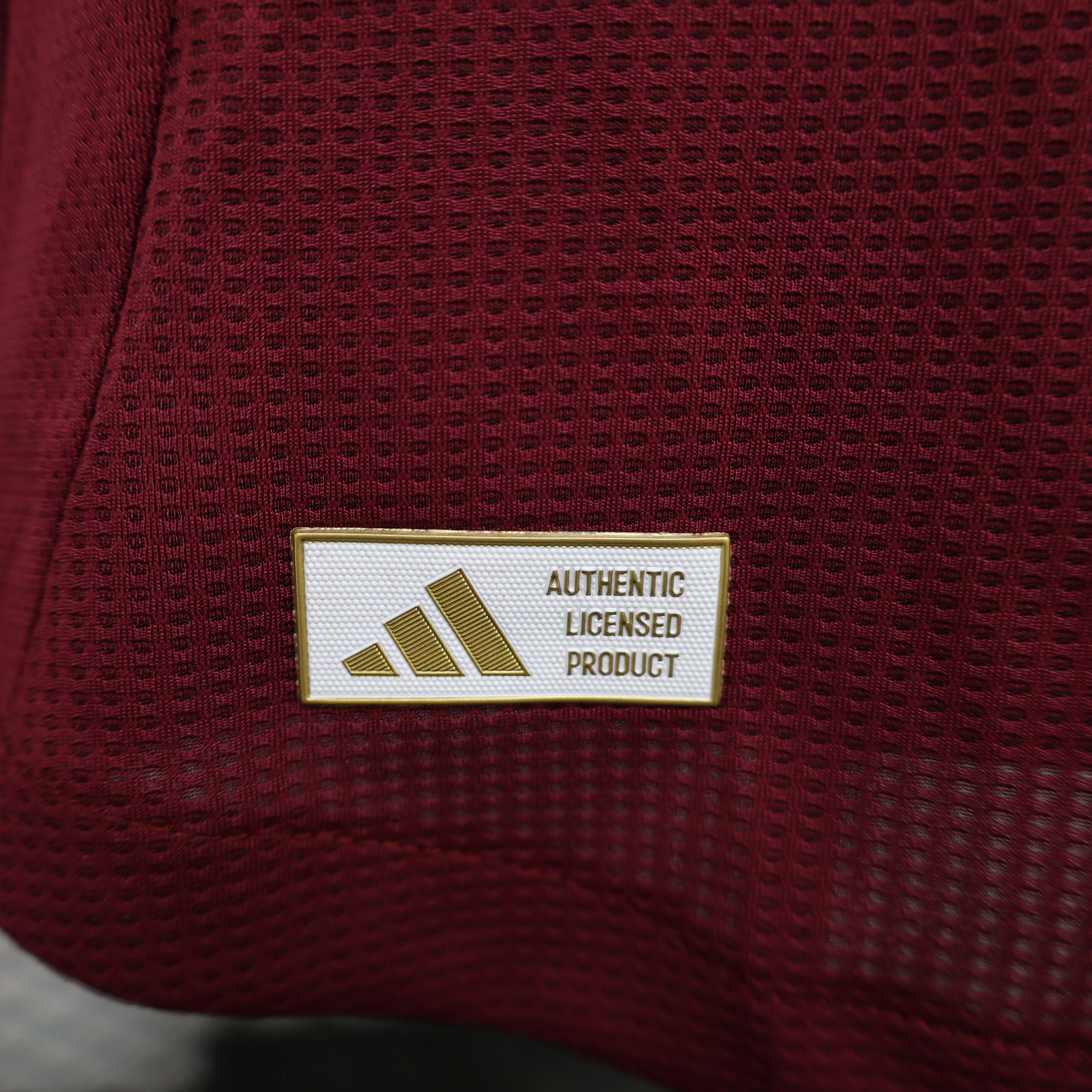 2024/2025 Player Version Aston Villa Home Football Shirt 1:1 Thai Quality:football jersey mysite: unitedjerseyfootball 邓江浪:football