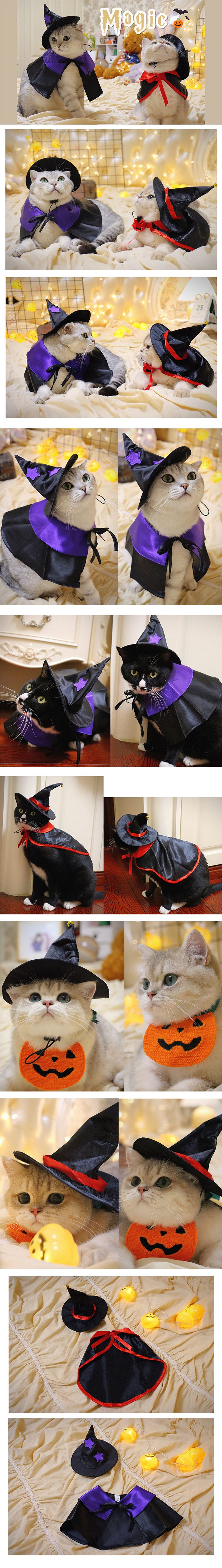 Wizard Cat Cape Hat Bib Halloween Costume