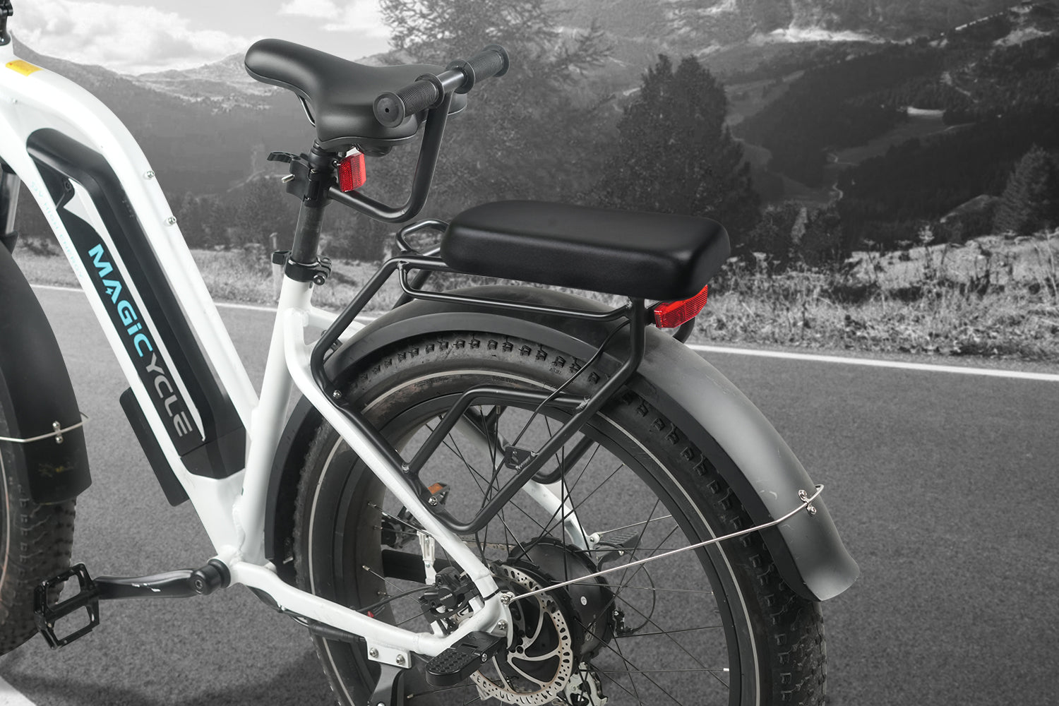 Ebike Rear Seat Handlebar Armrest、mySite、bearsvspackers