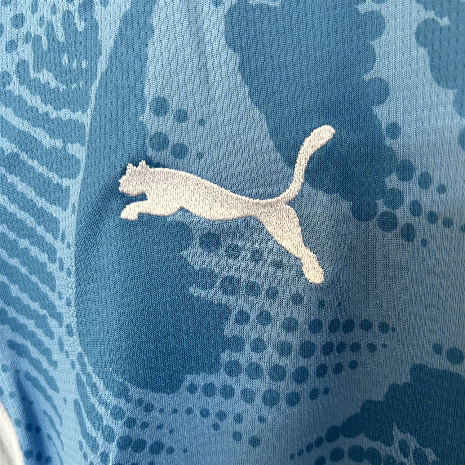 UltraTrikot-Palmeiras 25-26 Blue Goalkeeper Jersey - Fans Version