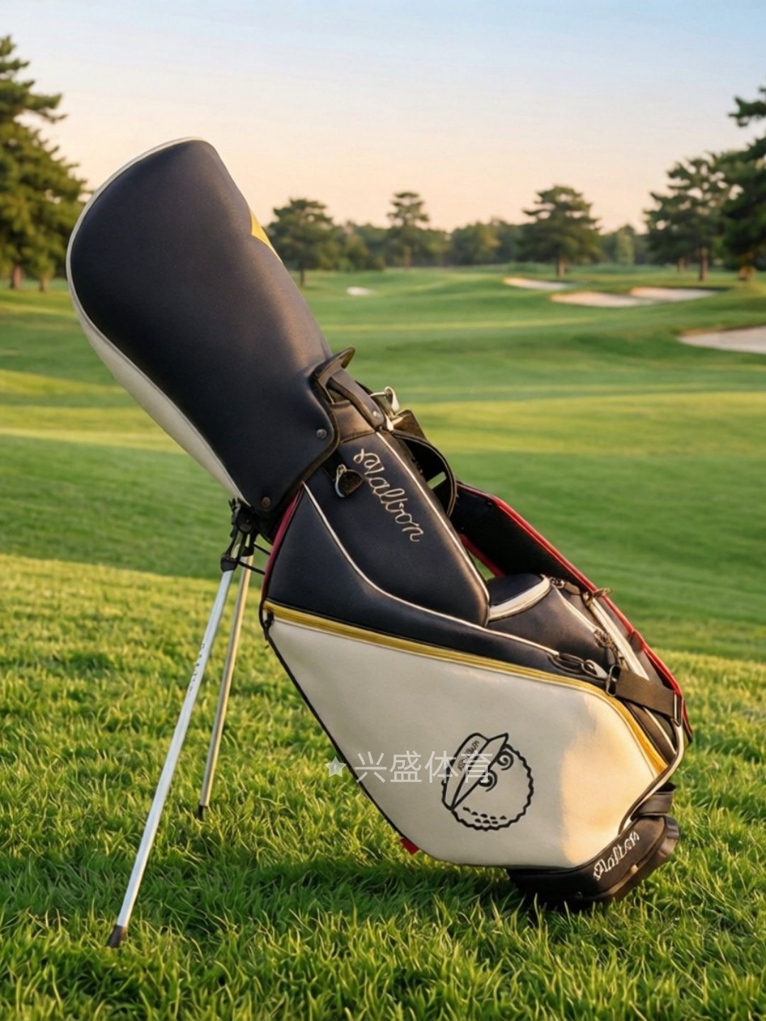 TITLESIT TAYLORMADE G/FORE GOLF BAG