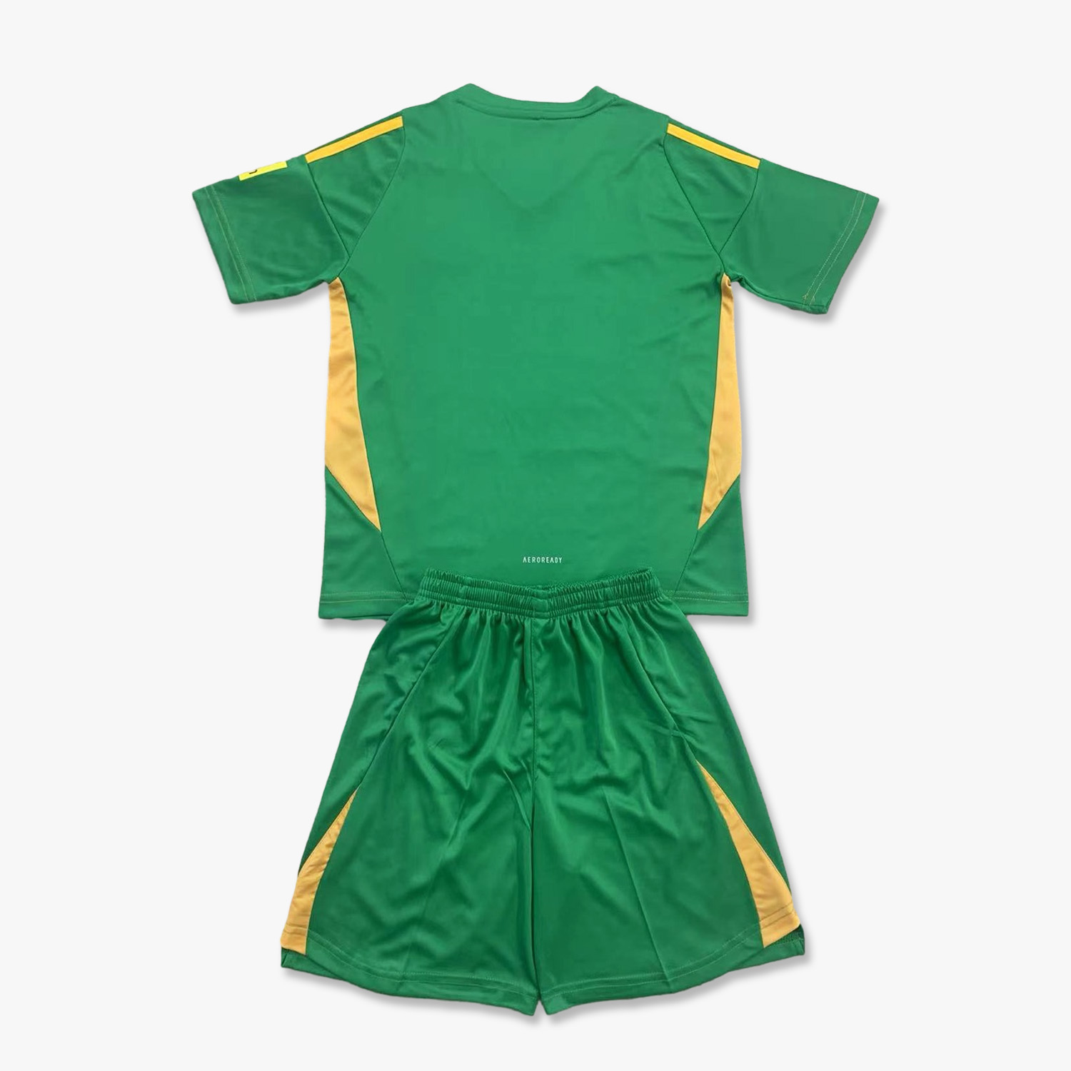 Higojerseys-Newcastle United 24-25 Green Goalkeeper Kids Kit