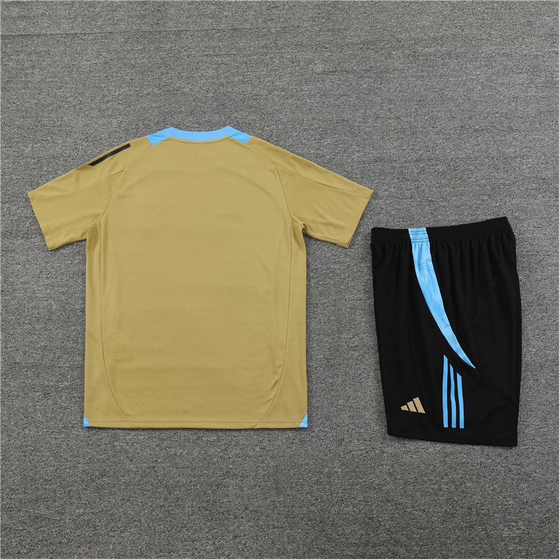 SIUjerseys-Argentina 2024 Short-Sleeve Training Set - Gold