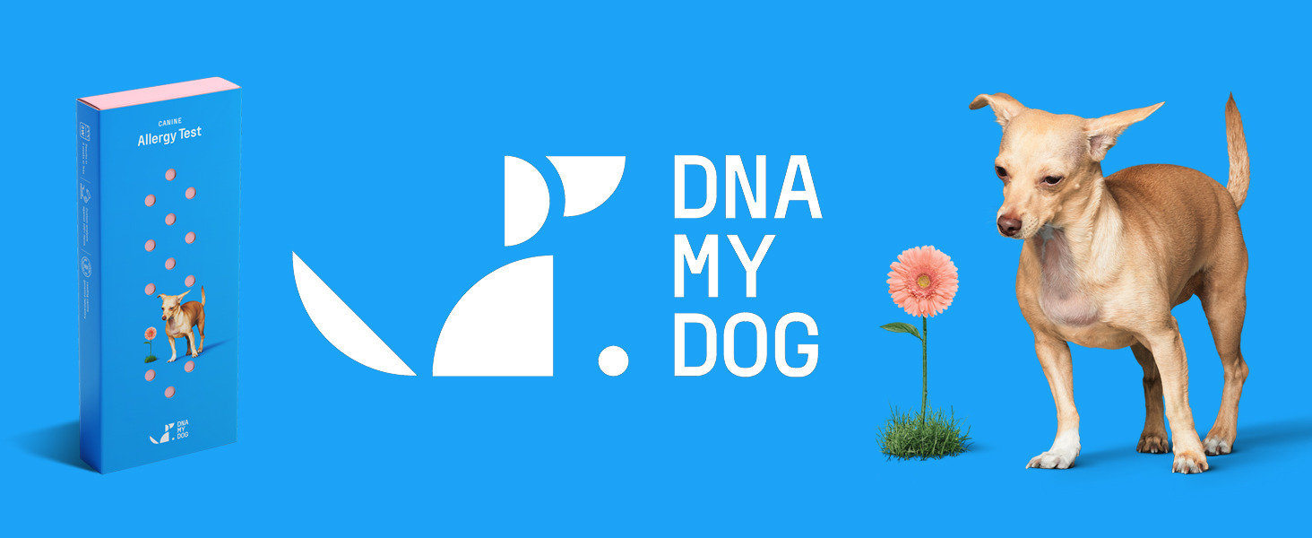 DNA My Dog Canine Allergy Test