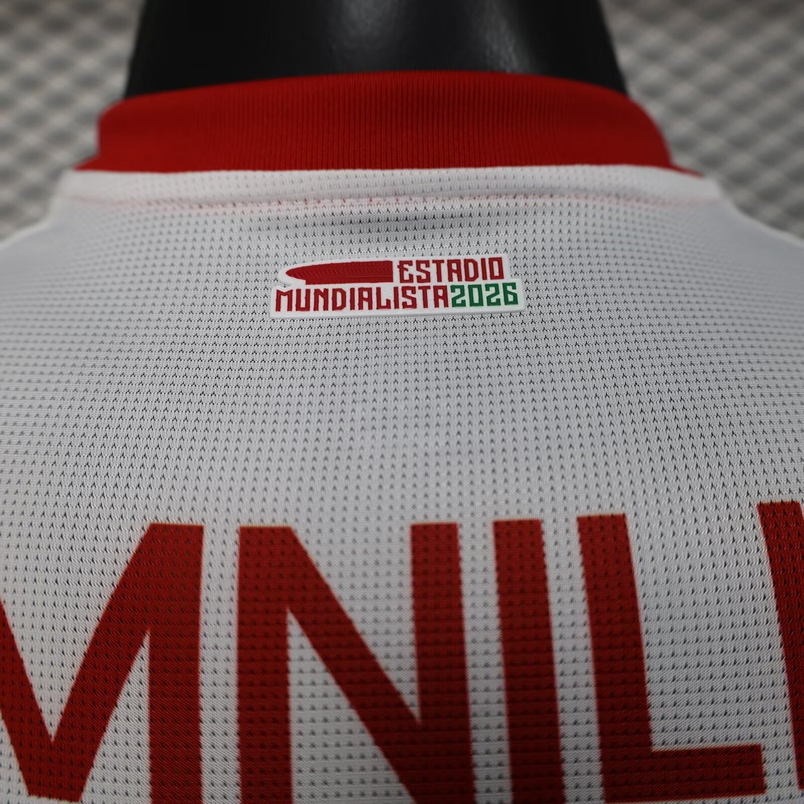 2025/2026 Player Version Chivas Away Football Jersey 1:1 Thai Quality:football jersey mysite: unitedjerseyfootball 邓江浪:football