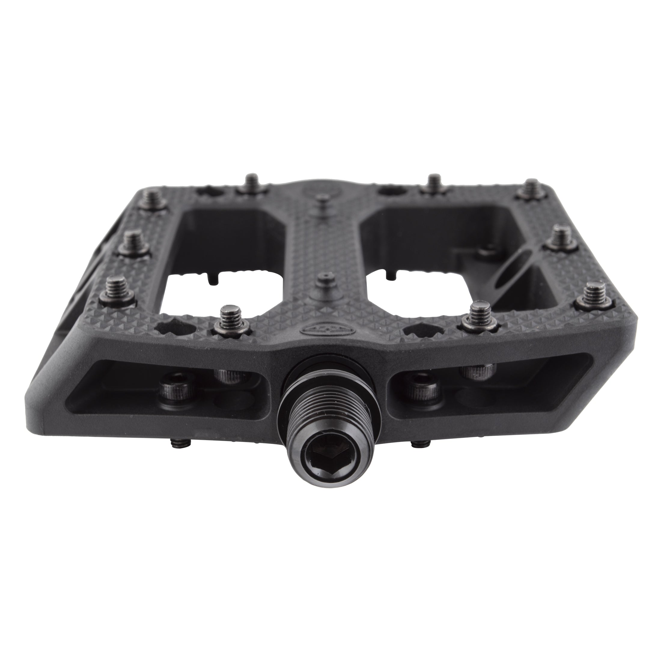 Foot Fetish、mySite、bearsvspackers