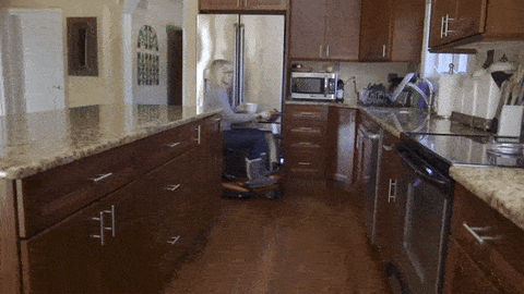 ev rider easy move
