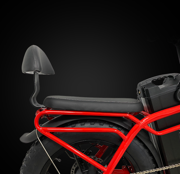 Two Seater Electric Bike | VICTRIP