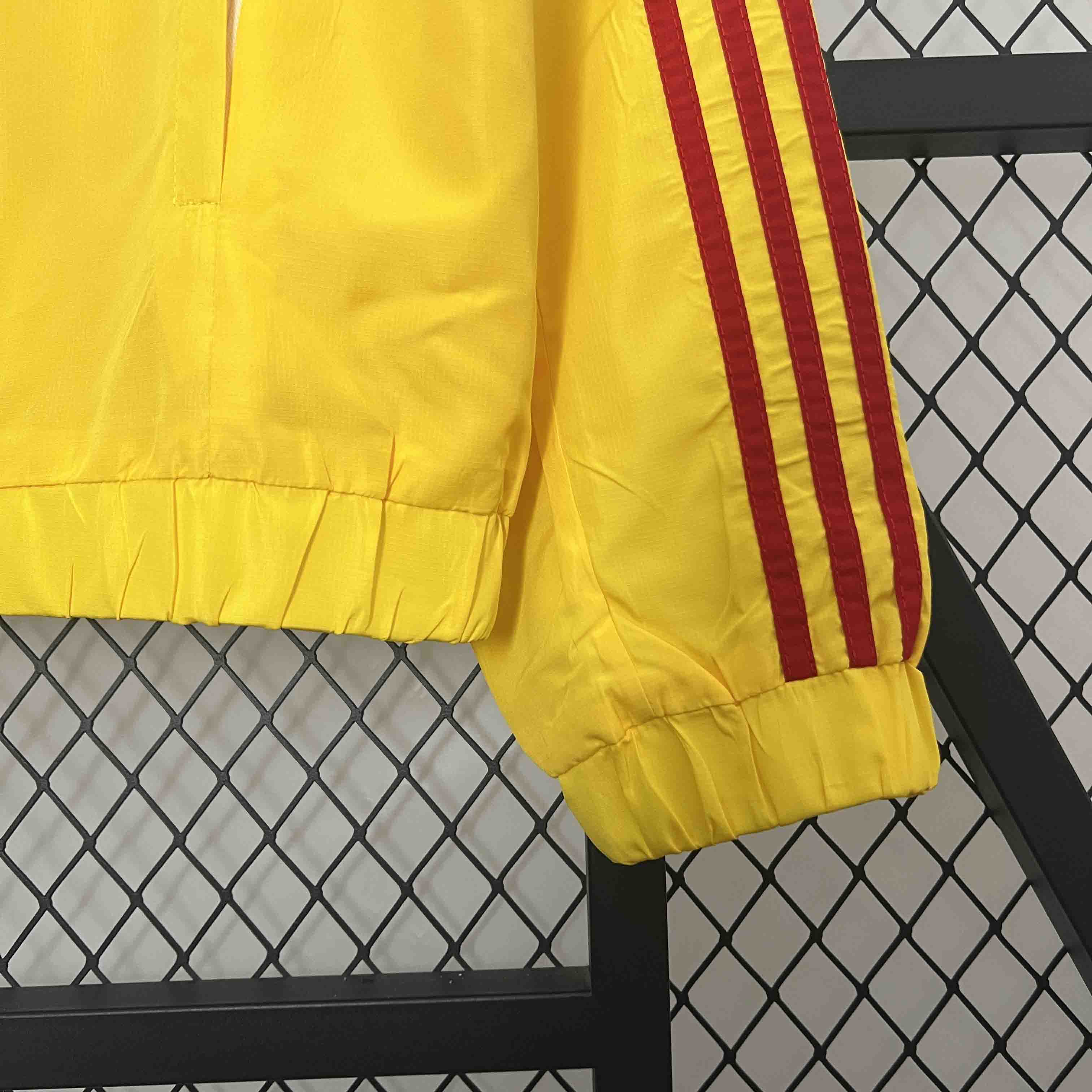 GlobeJersey-Colombia 2024 Yellow Windbreaker