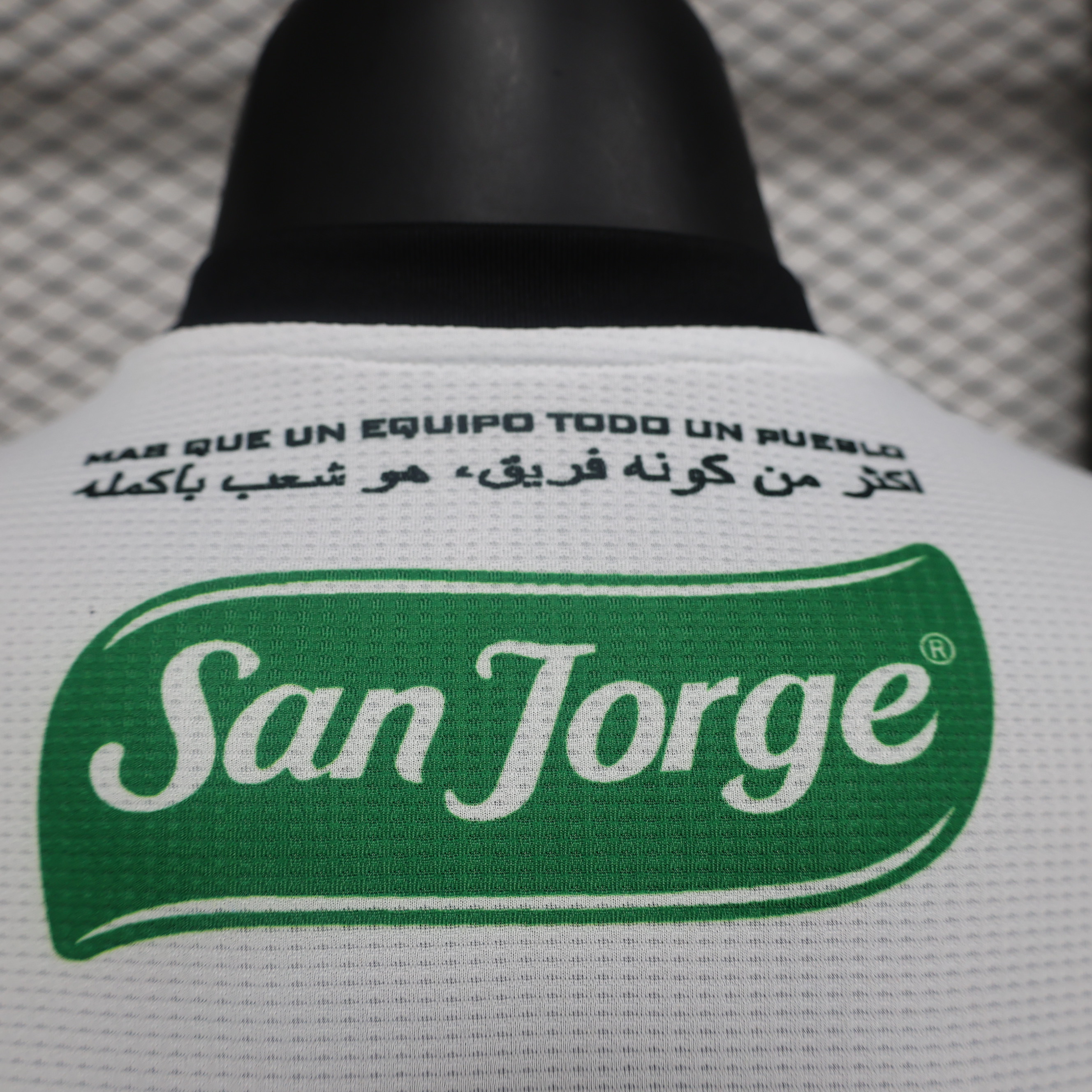 Higojerseys-Club Deportivo Palestino 2024 Home Jersey - Player Version