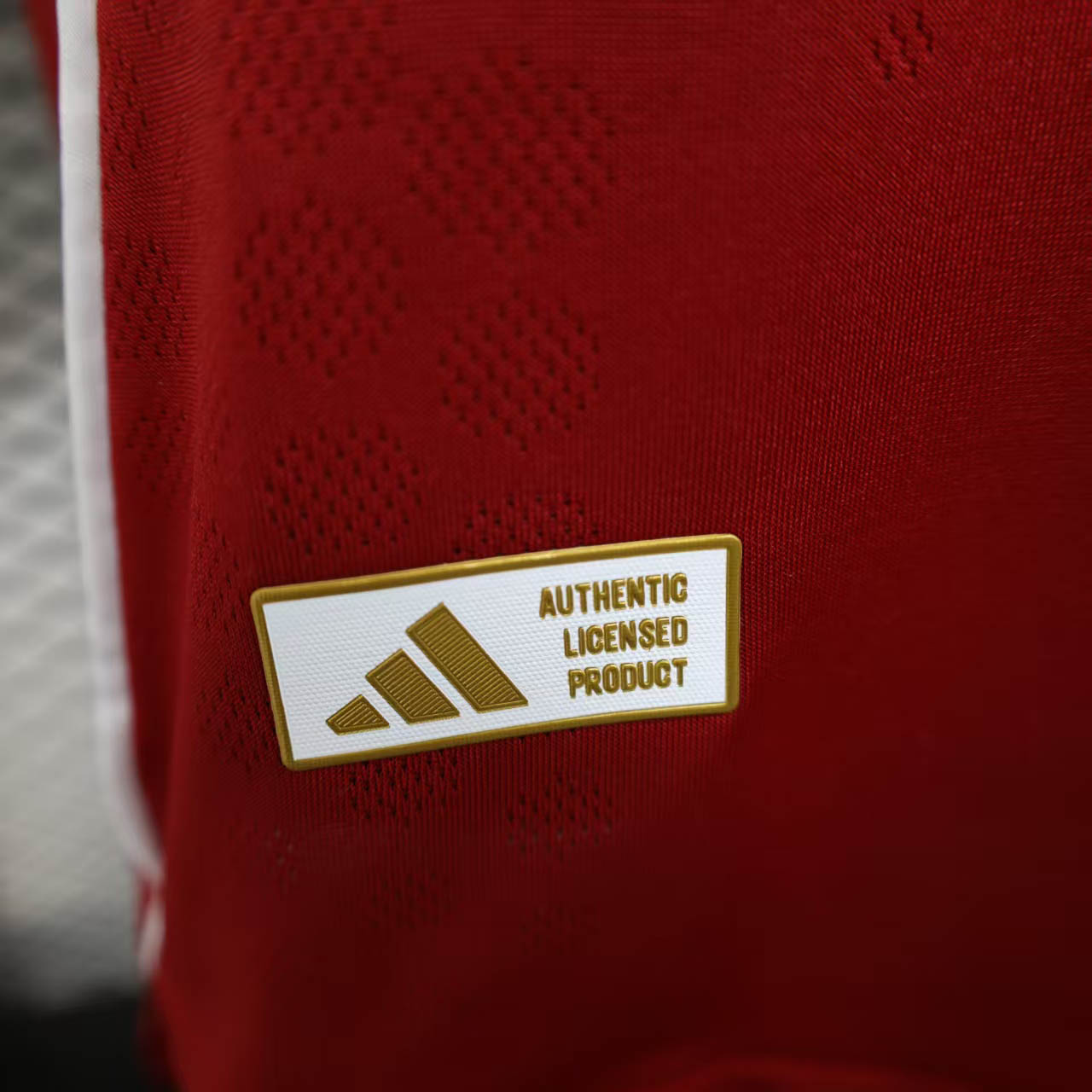 2025/2026 Player Version Liverpool Home Football Shirt 1:1 Thai Quality:football jersey mysite: unitedjerseyfootball 邓江浪:football