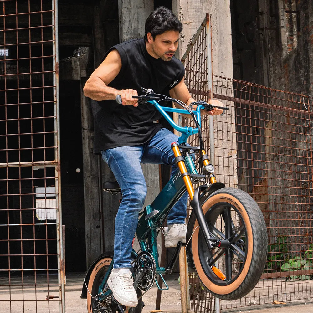 Fiido M1 Pro Fat Tire Electric Bike、mySite、bearsvspackers