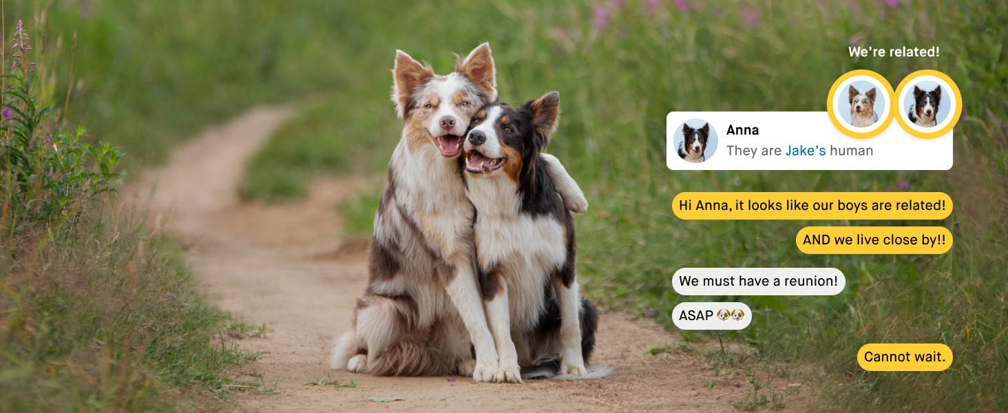 Embark test relative finder