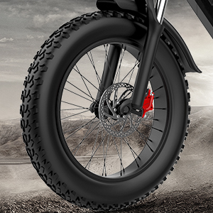 fat tire electric bike