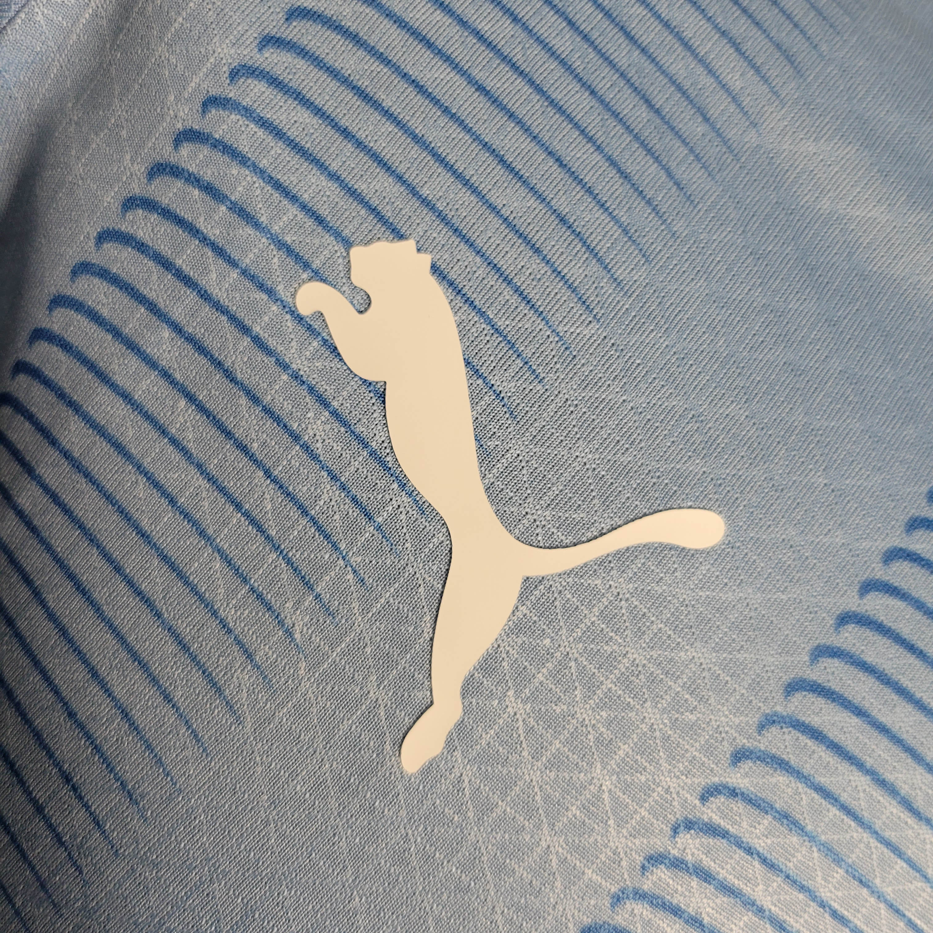 2023/2024 Player Version Manchester City Home Football Shirt 1:1 Thai Quality:football jersey mysite: unitedjerseyfootball 邓江浪:football