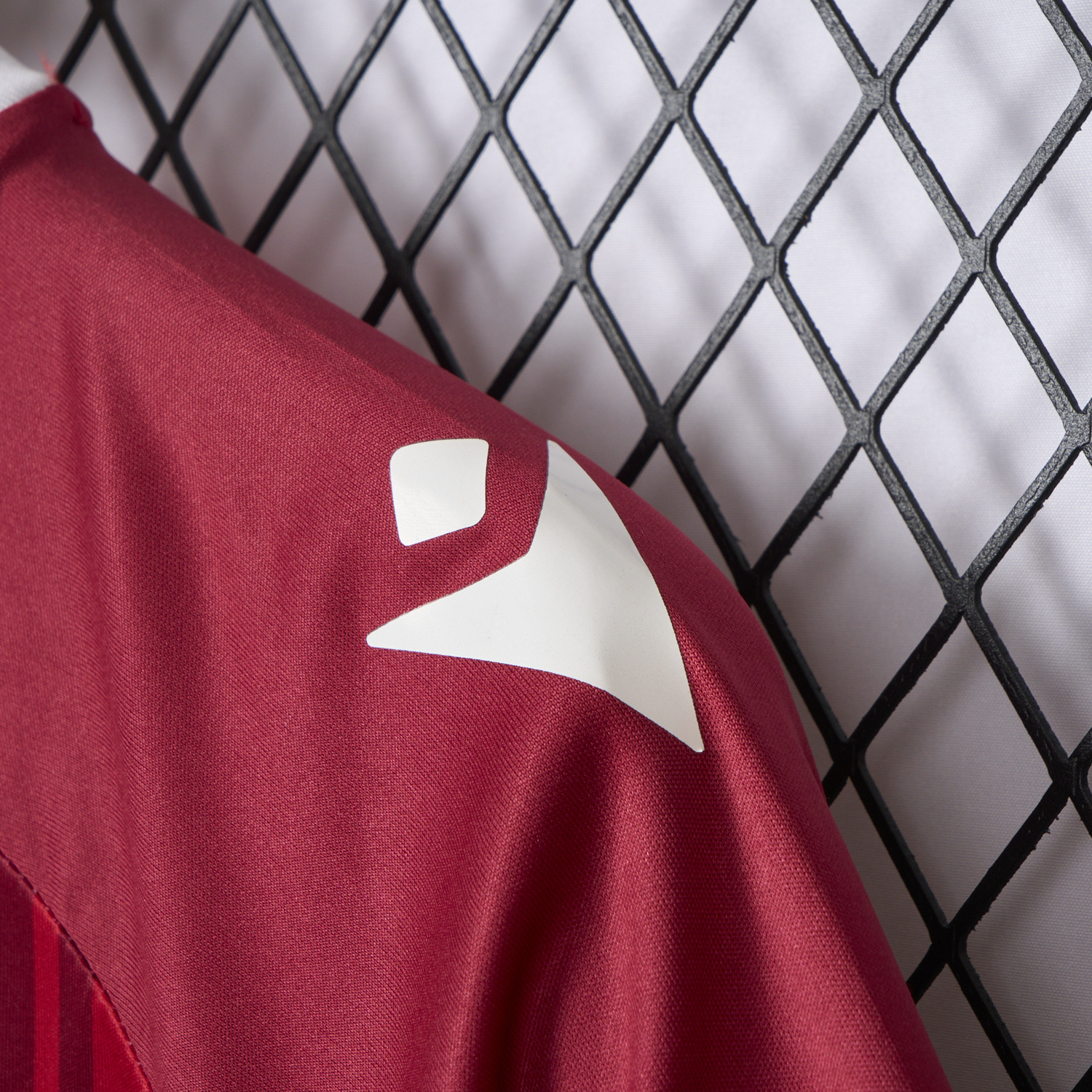 UltraTrikot-Hannover 96 24-25 Anti-Racism Special Edition Jersey - Fans Version