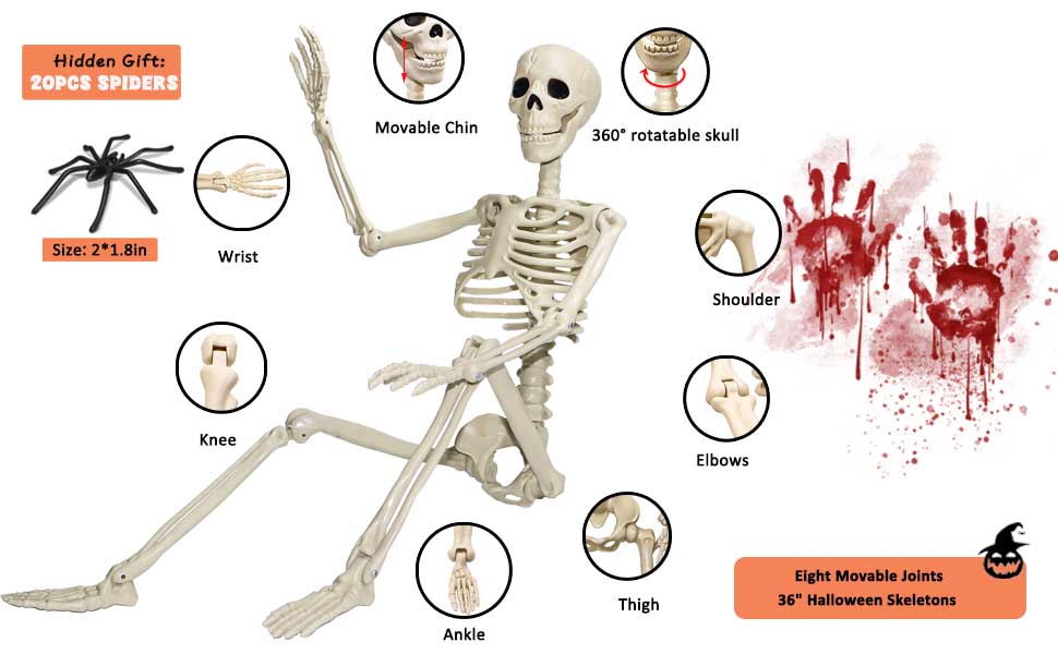 halloween skeleton,halloween skeletons,skeleton halloween decorations,halloween skeleton decor