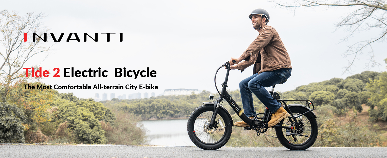 Fat Tire Electric Bike