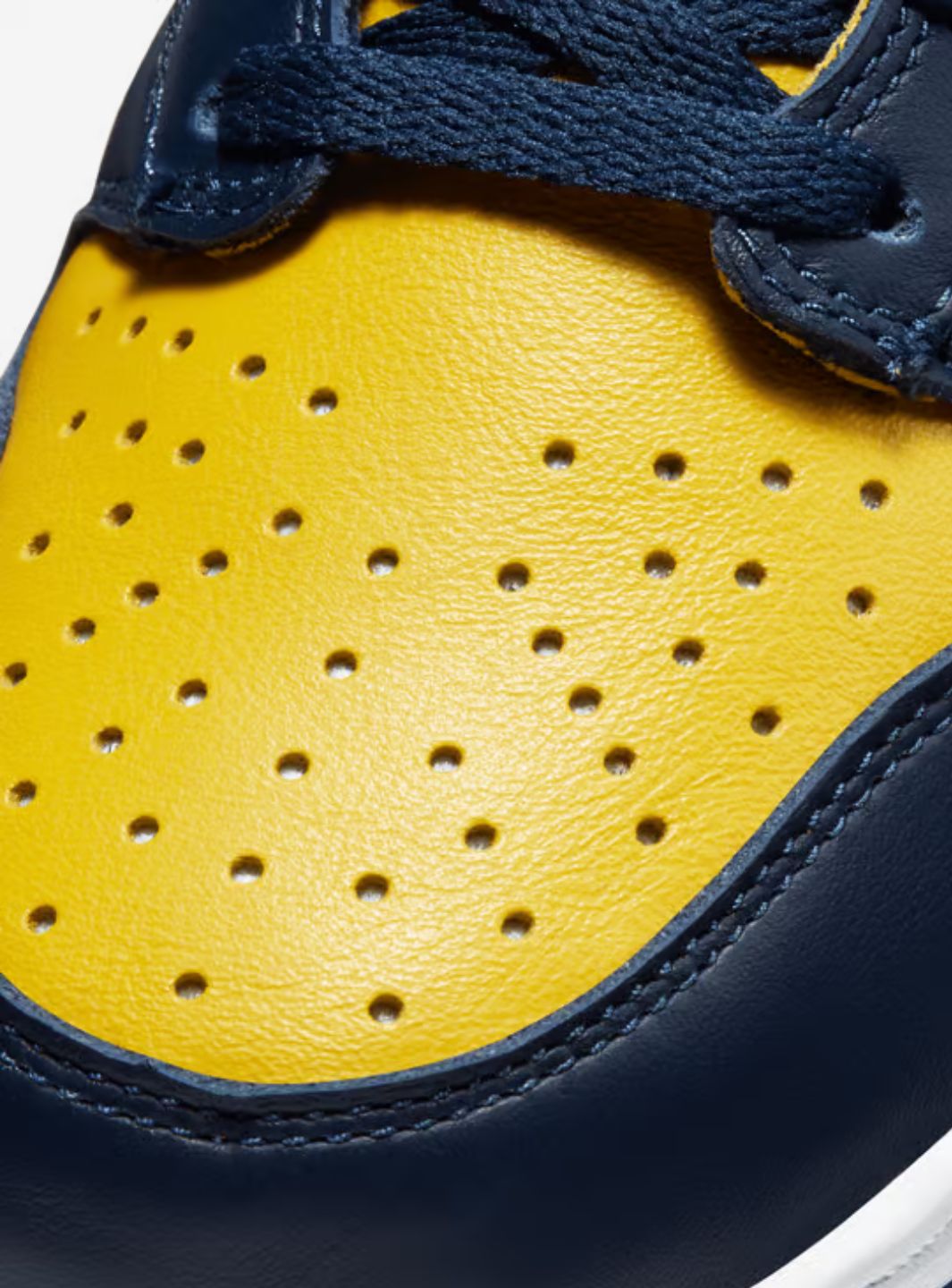 Nike Dunk High Michigan (2020)、NIKE、Cacoeks