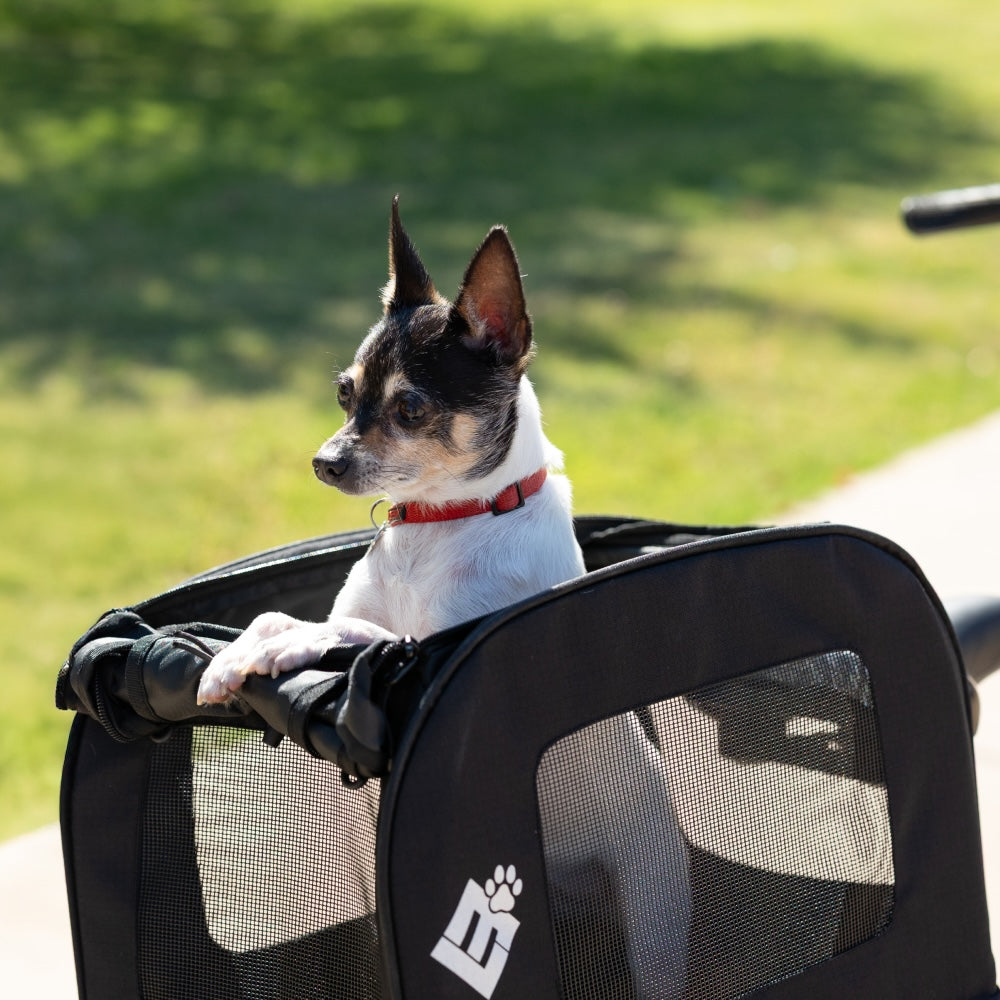 Small Pet Carrier、mySite、bearsvspackers