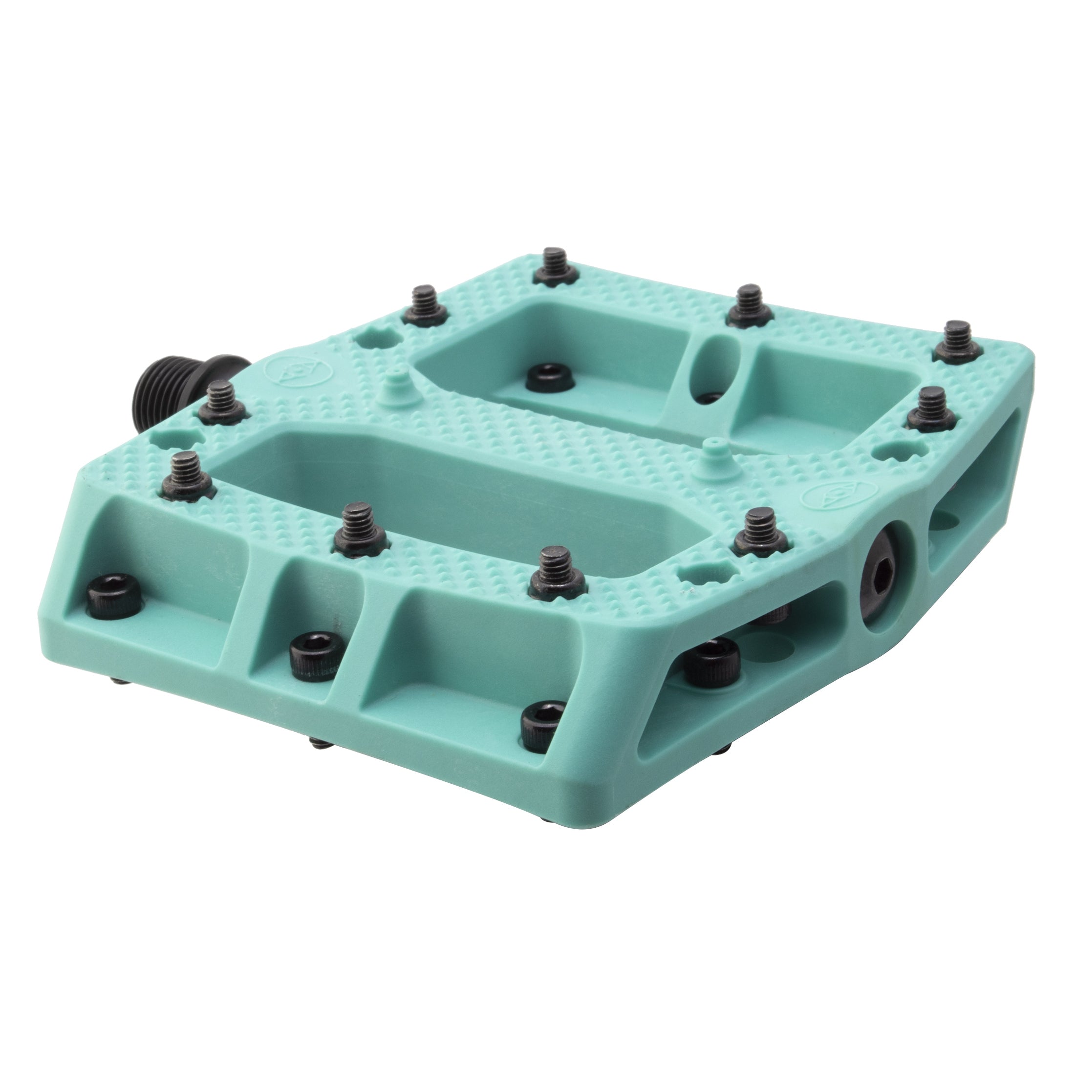 Foot Fetish、mySite、bearsvspackers