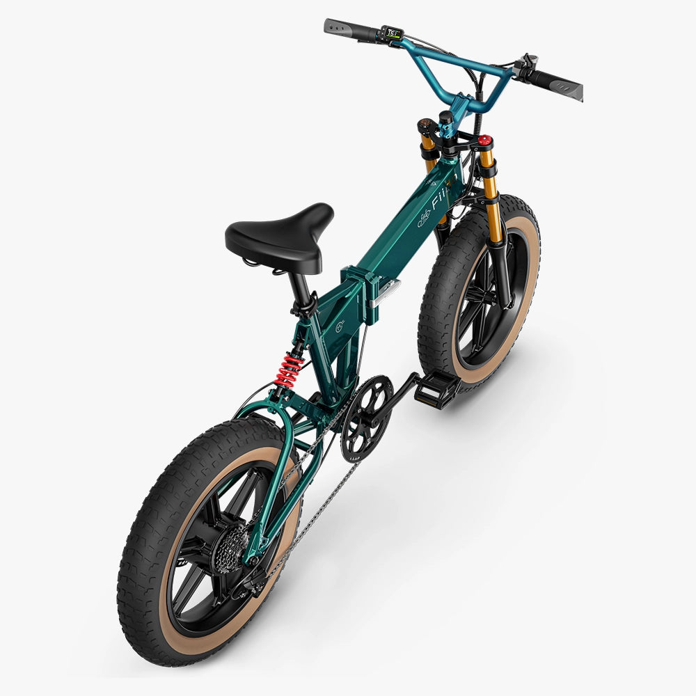 Fiido M1 Pro Fat Tire Electric Bike、mySite、bearsvspackers