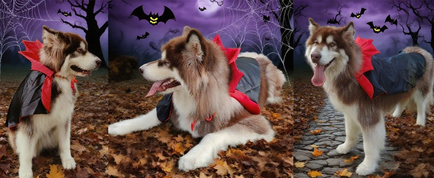 dog halloween costume for extra large dogs