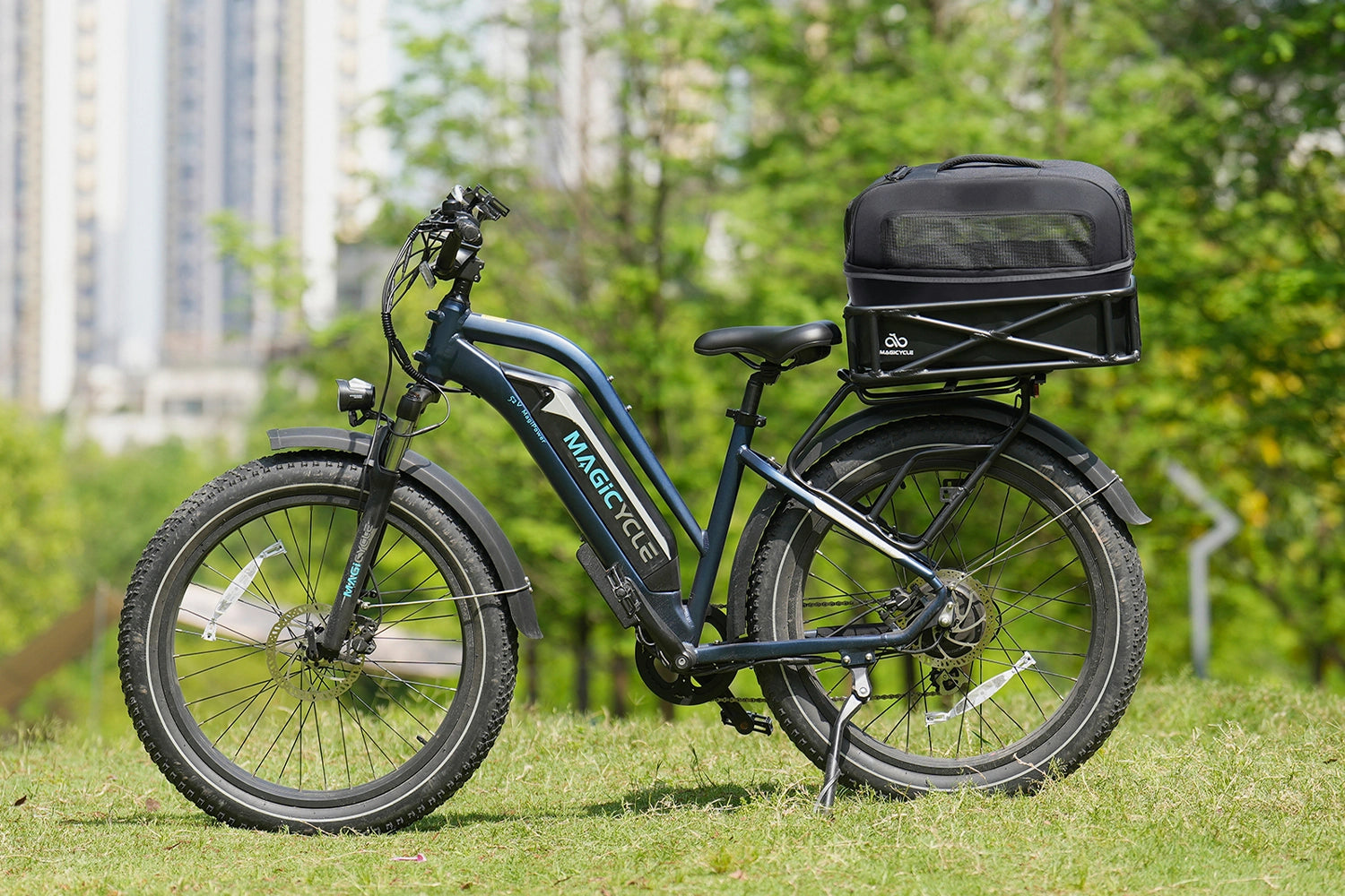 Magicycle Electric Bikes Pet Carrier Travel Bag、mySite、bearsvspackers