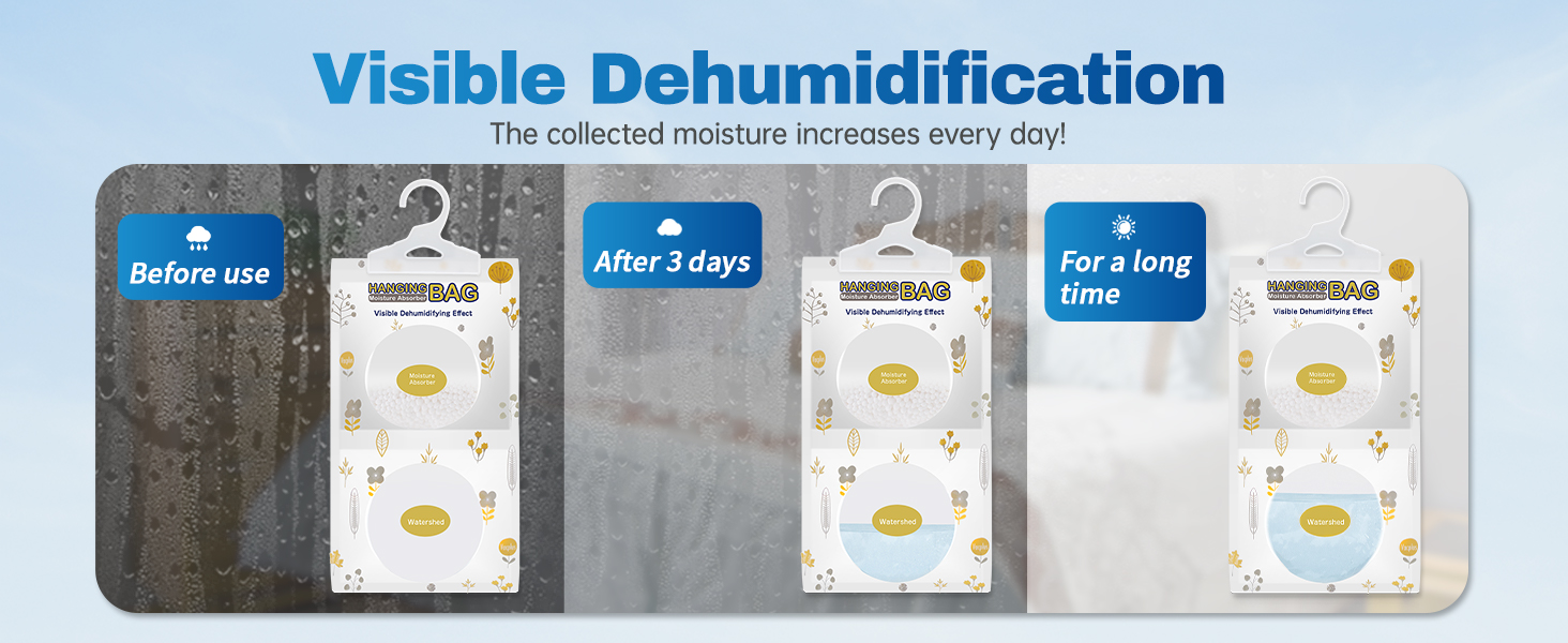 Visible Dehumidification
