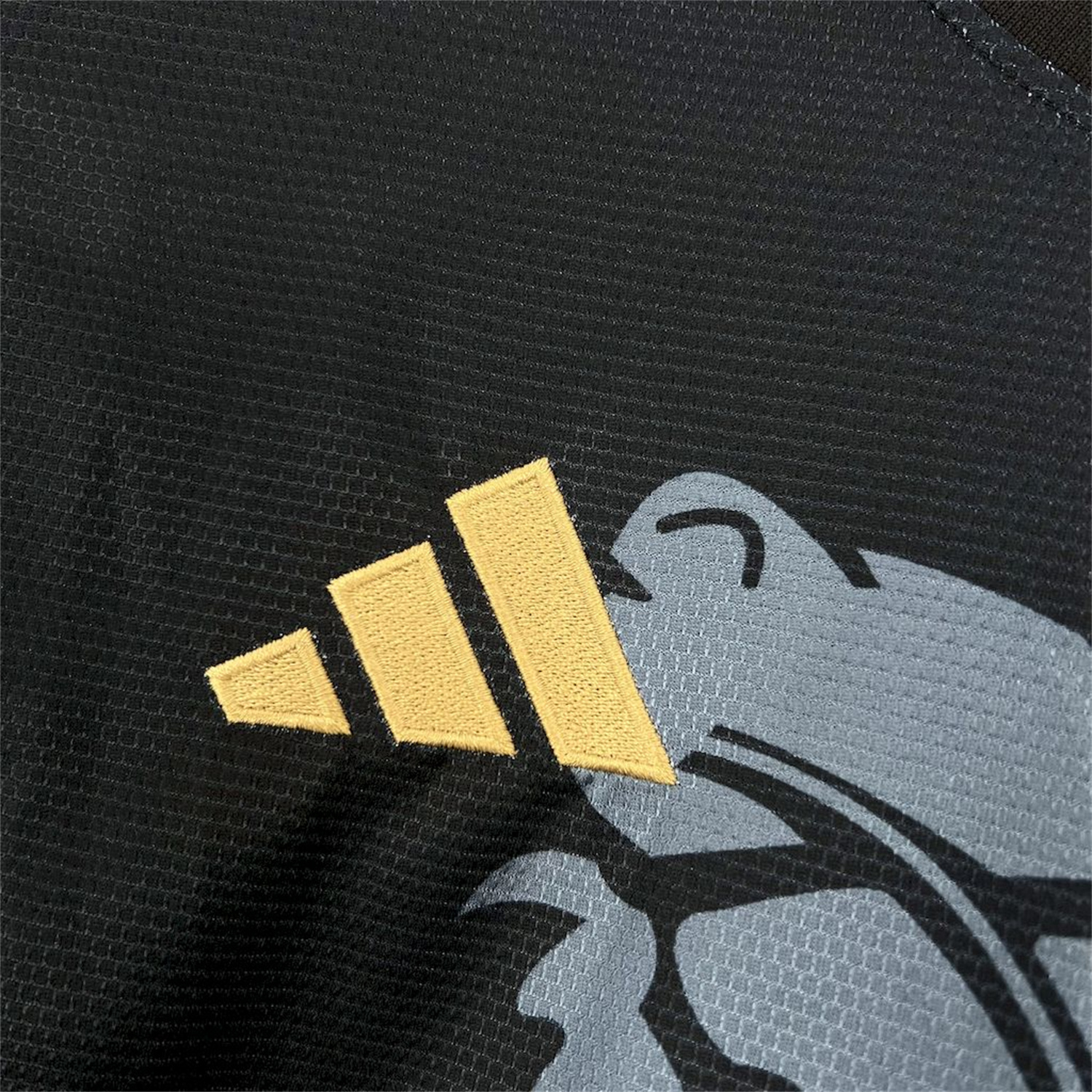 foot-Aston Villa 25-26 Black Special Edition Jersey - Fans Version