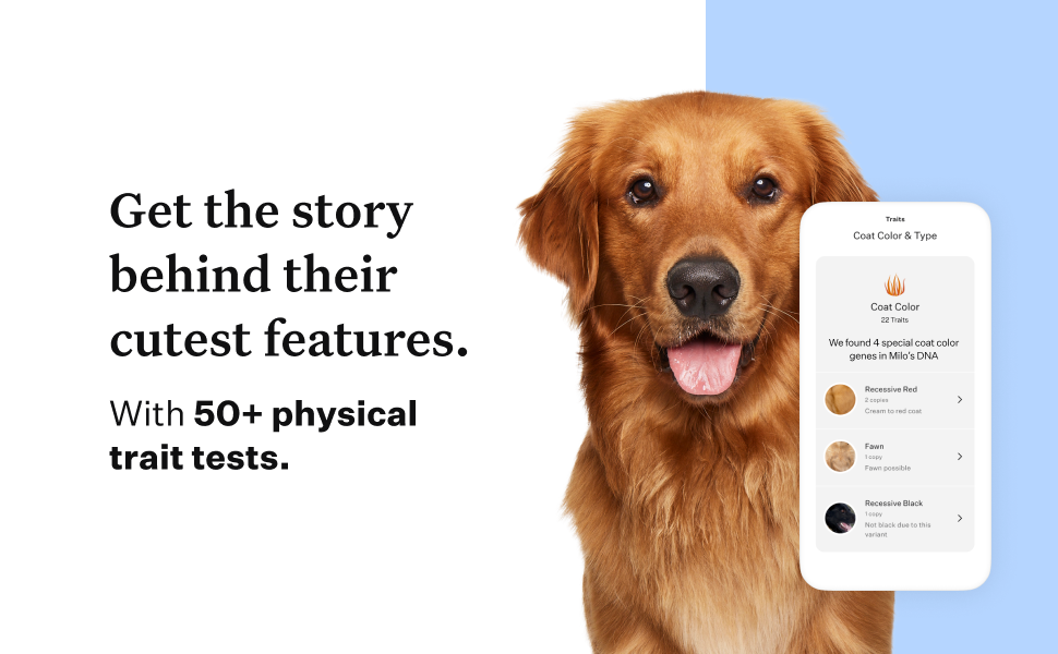 Wisdom Panel Essential Dog DNA test