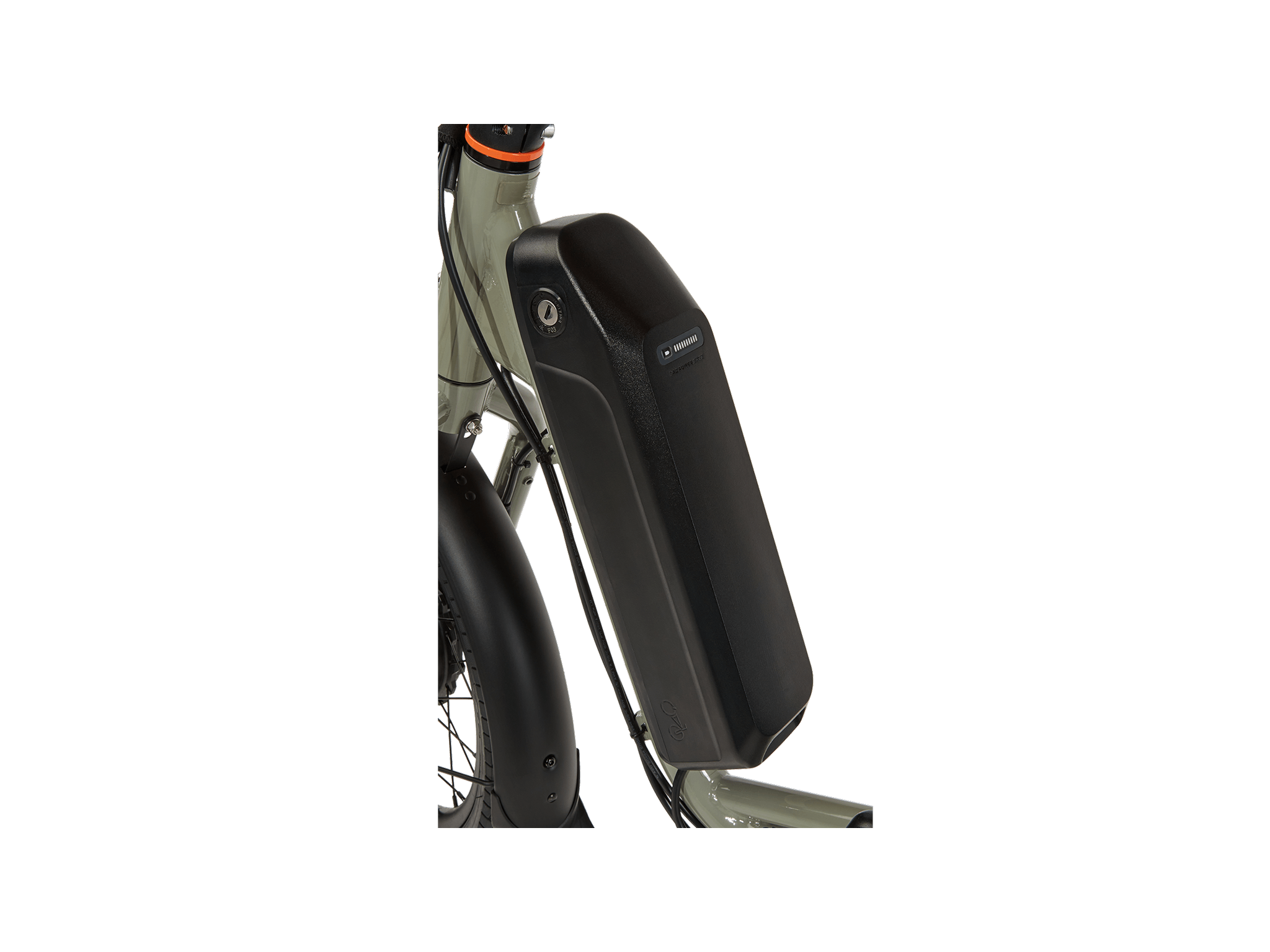 RadTrike™ Electric Tricycle、mySite、bearsvspackers