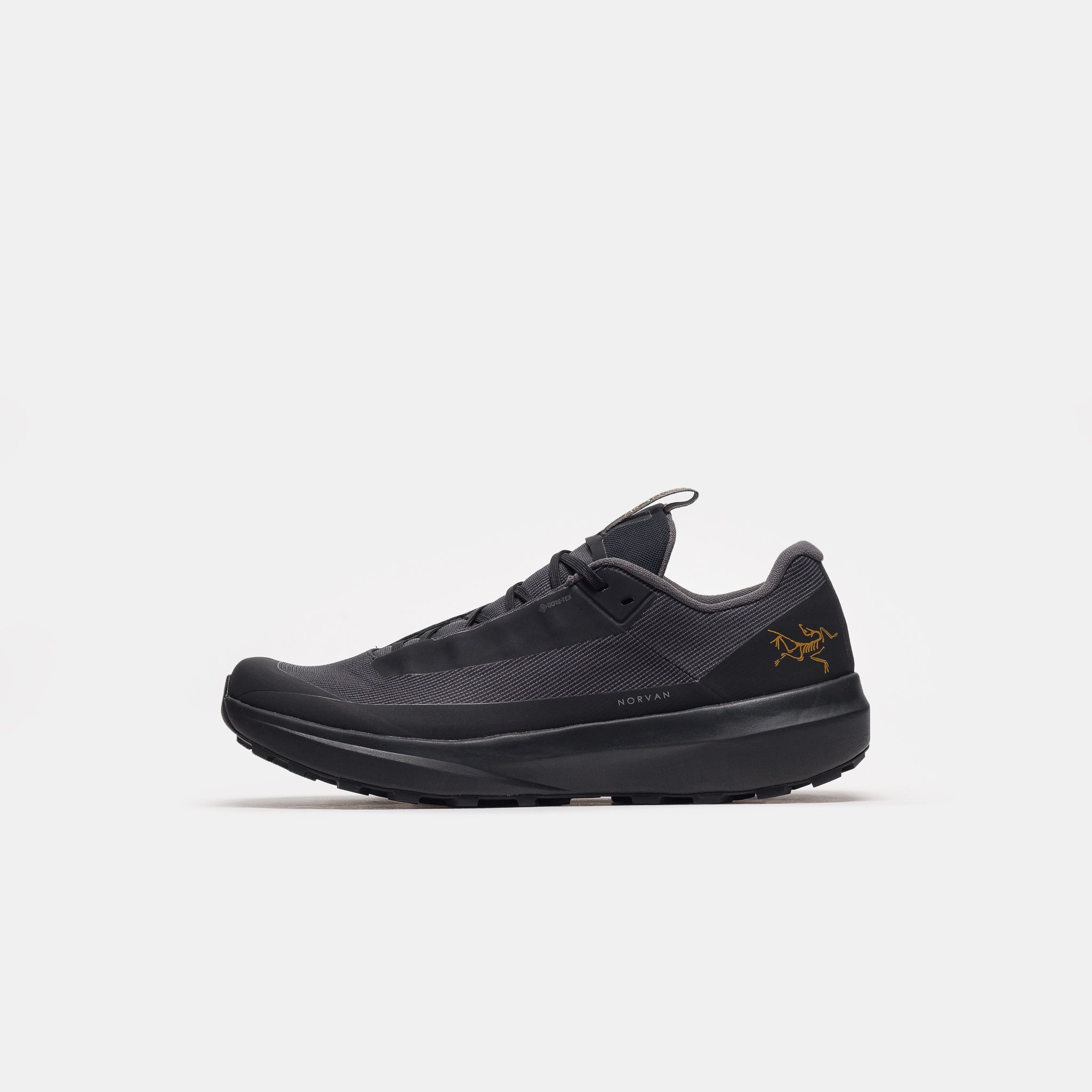Norvan LD 4 Gore-Tex Sneaker in Black/Black
