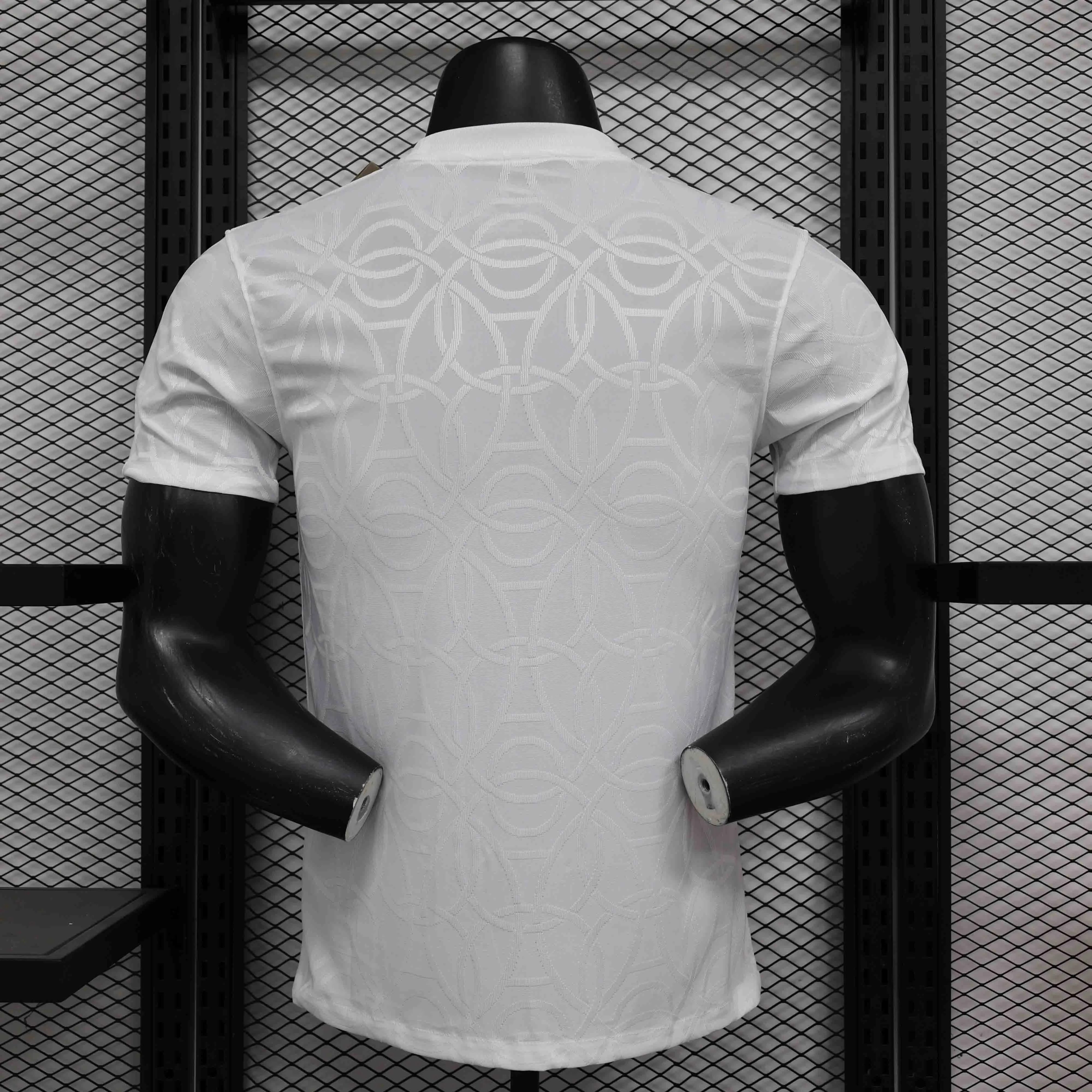 25-26 Paris Saint-Germain PSG Academy Pro Pre-Match White Jersey Customized team emblem stars - Player Version: Ajax 24-25 Home Stadium Jersey - Fans Version mysite: Adidas luxuryfootballshirts.com: https://www.luxuryfootballshirts.com/