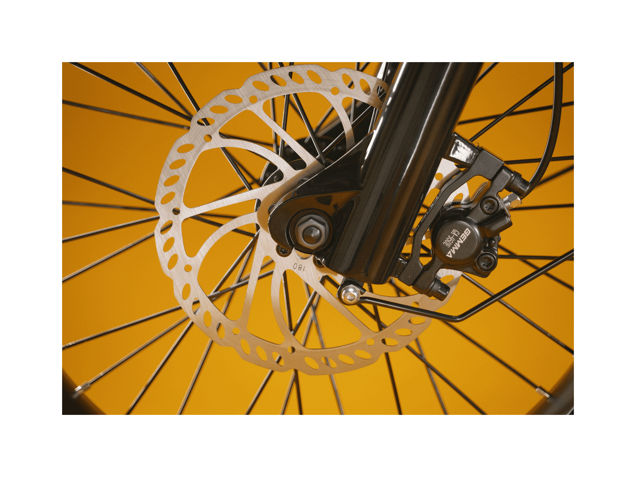 RadRunner™ Plus Electric Cargo Utility Bike、mySite、bearsvspackers