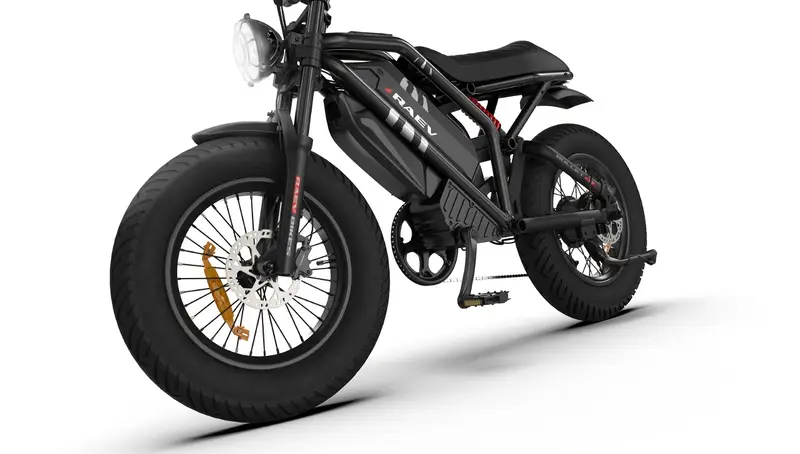 adult   tires electric bicycle motorcycle ebike 740w 52v 20ah 8ah battery detachable dual batteries 20 inch disc brake   outdoor off road electric bicycle large led display 26 miles per hour 100 mile electric bicycle Product details 0