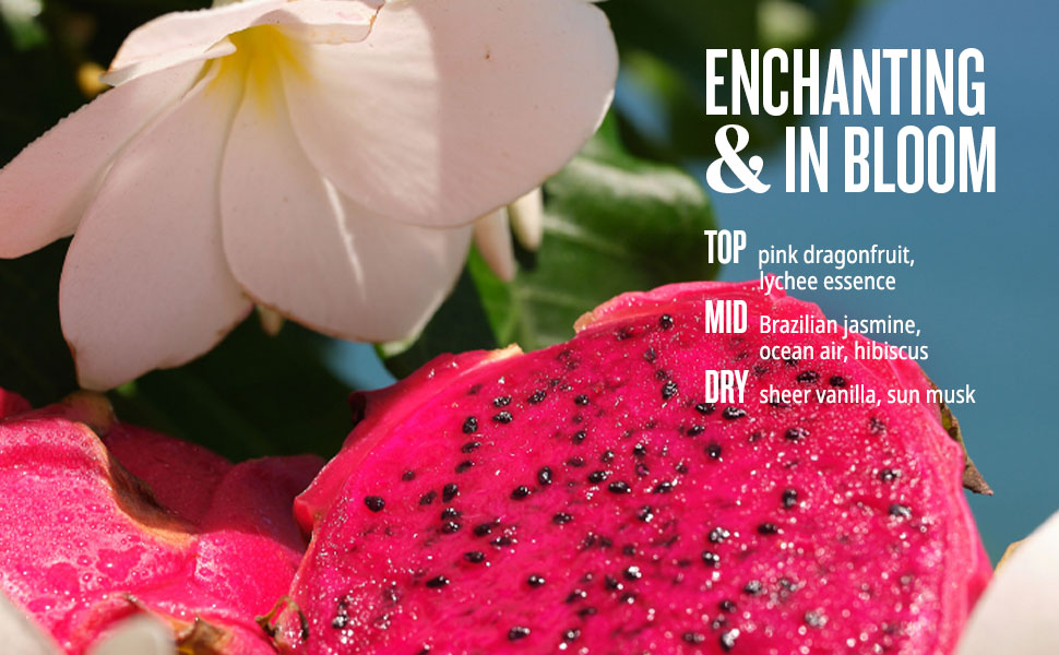 Notes of Brazilian Jasmine + pink dragonfruit