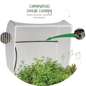 Raised Garden Bed with Protective Cover, Greenhouse, Micro-climate, Protect from animals and bugs