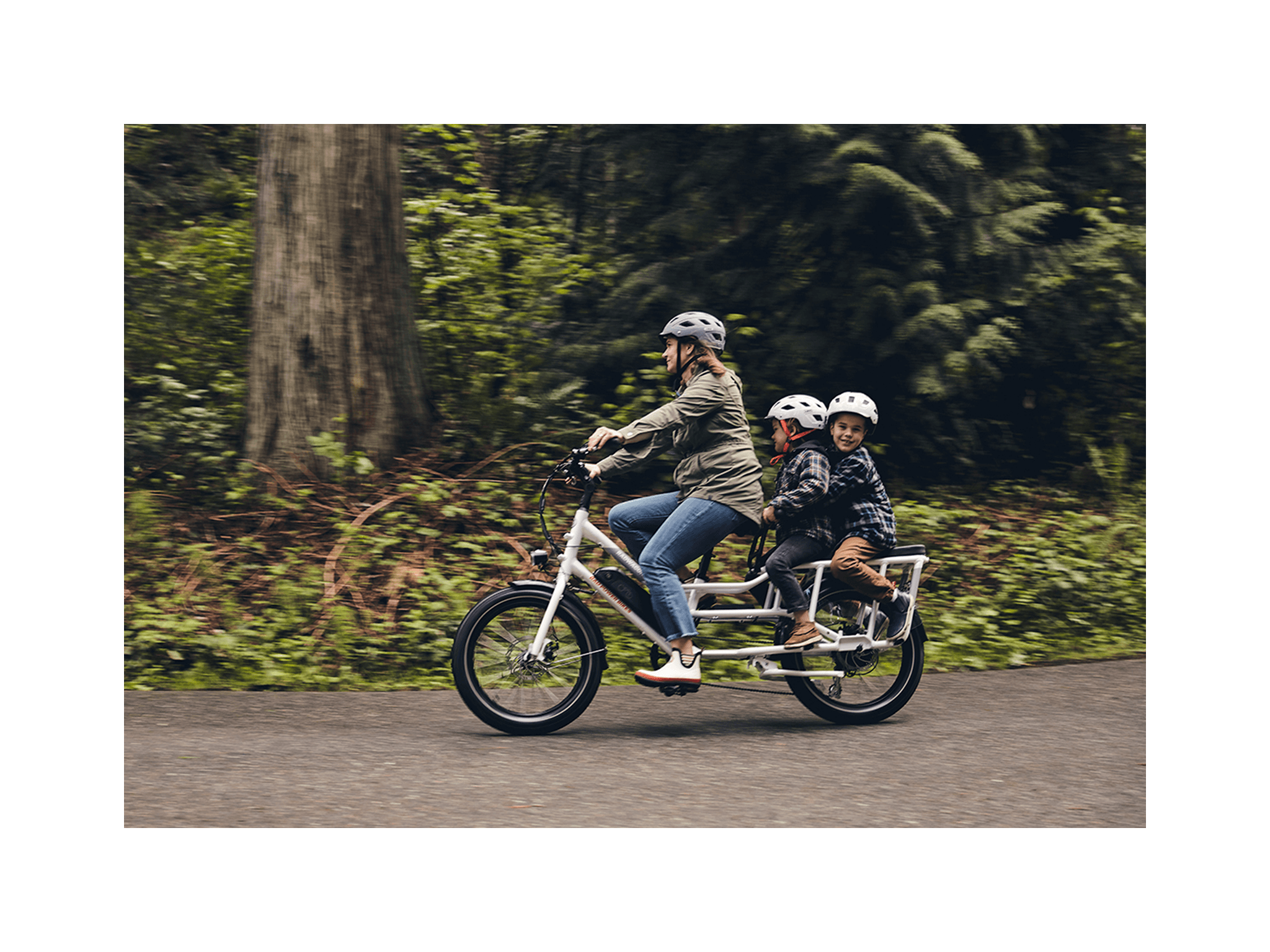 RadWagon™ 4 Electric Cargo Bike、mySite、bearsvspackers