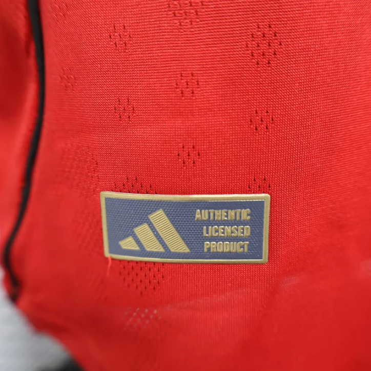 2025/2026 Player Version Manchester United Home Football Shirt 1:1 Thai Quality:football jersey mysite: unitedjerseyfootball 邓江浪:football