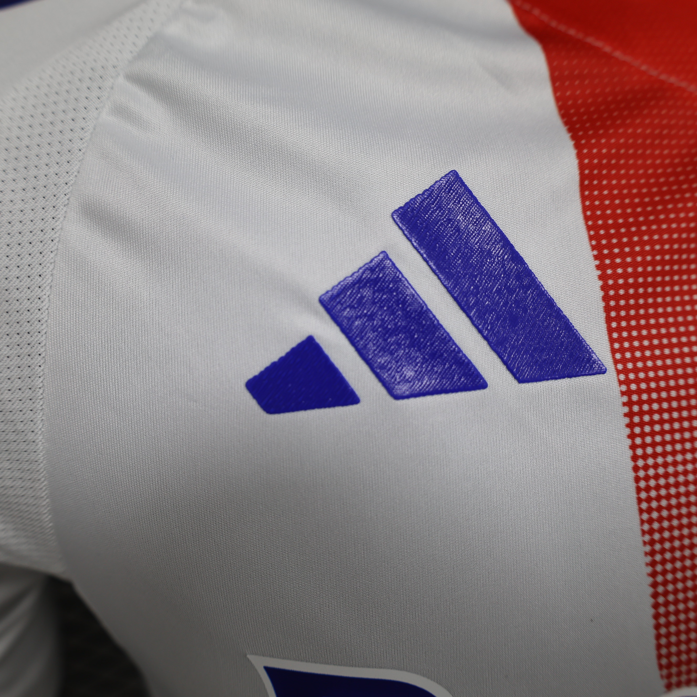 Higojerseys-Olympique Lyonnais Lyon 24-25 Home Stadium Jersey - Player Version