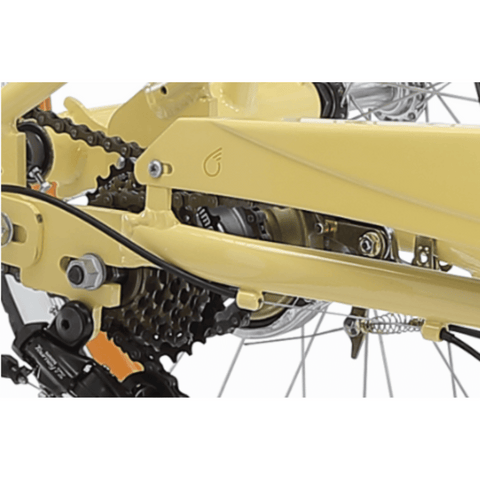 EVRY_journey_250W_Electric_Tricycle_Motor