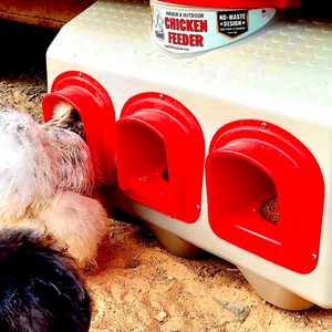 chicken feeder ports