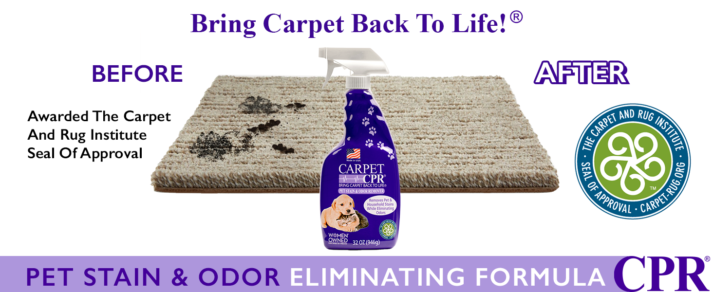 Pet Carpet Before/After