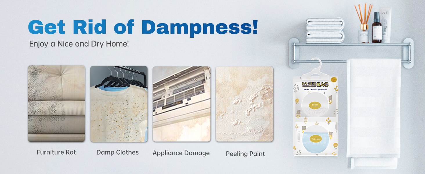 Get Rid of Dampness!